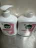 滴露（Dettol）洗手液抑菌消毒滋润500g+500g 补充装 儿童家庭护手替换装 实拍图