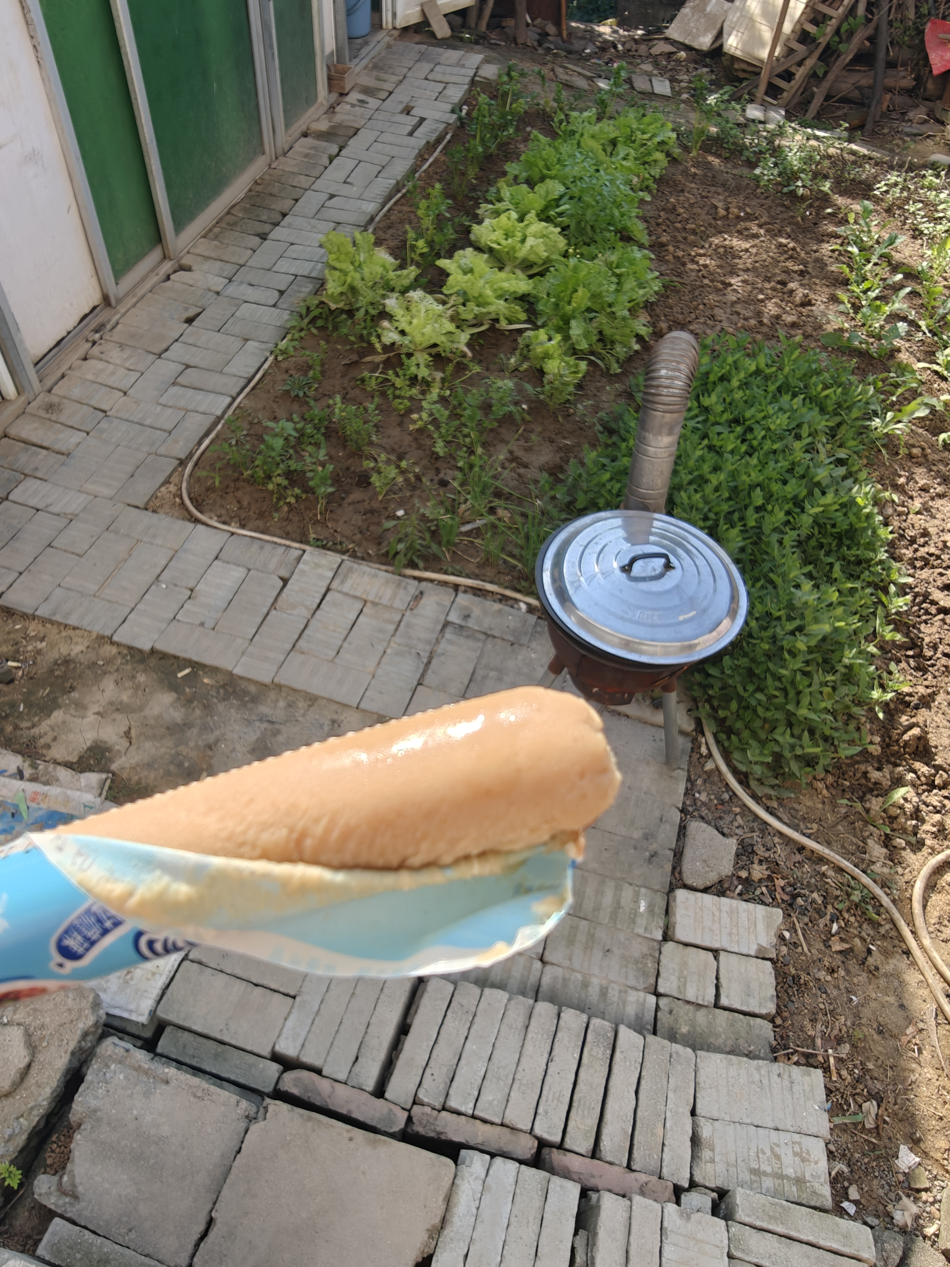 金锣正宗临沂炒鸡味火腿肠40g*10支休闲零食香肠出游露营夜宵 实拍图