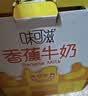 伊利味可滋 香蕉牛奶整箱240ml*12盒包装随机 中秋礼盒装 实拍图