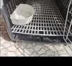腆宠宠物航空箱小号 猫咪航空箱猫狗 猫包猫笼外出车载猫箱狗狗托运 实拍图