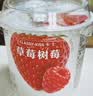 卡士（CLASSY.KISS）【全程冷链】草莓树莓果粒鲜酪乳100g*6杯 低温酸奶 风味发酵乳 实拍图