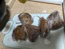 沃典南美原切【带芯】牛腱子净重4斤 牛后腱生鲜牛肉新鲜冷冻炖煮食材 实拍图