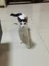 麦富迪猫粮 超肉粒冻干双拼成猫粮美毛护肠三文鱼10kg/20斤【宠物金选】 实拍图