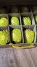 佳沛（zespri）新西兰金奇异果12粒特大果124-146g猕猴桃水果礼盒 实拍图