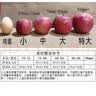 阿克苏苹果新疆阿克苏冰糖心苹果 当季应季新鲜时令水果整箱红富士丑苹果 10斤【精品果】单果70-80mm 净重8.5-9斤 实拍图