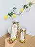 印象堂 茶叶花草茶 菊花茶 胎菊茶礼品 菊花蕾 2罐装共120g养生茶自己喝 实拍图