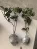 桂花树苗盆栽室内四季桂花卉植物金桂丹桂庭院大树浓香型绿植开花 四季桂花高20-30cm高左右【原土球发货】 实拍图