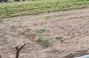网络眼终身免流量太阳能摄像头监控手机远程免插电360度无死角带夜视户外无线全景防水室外无电无网 实拍图