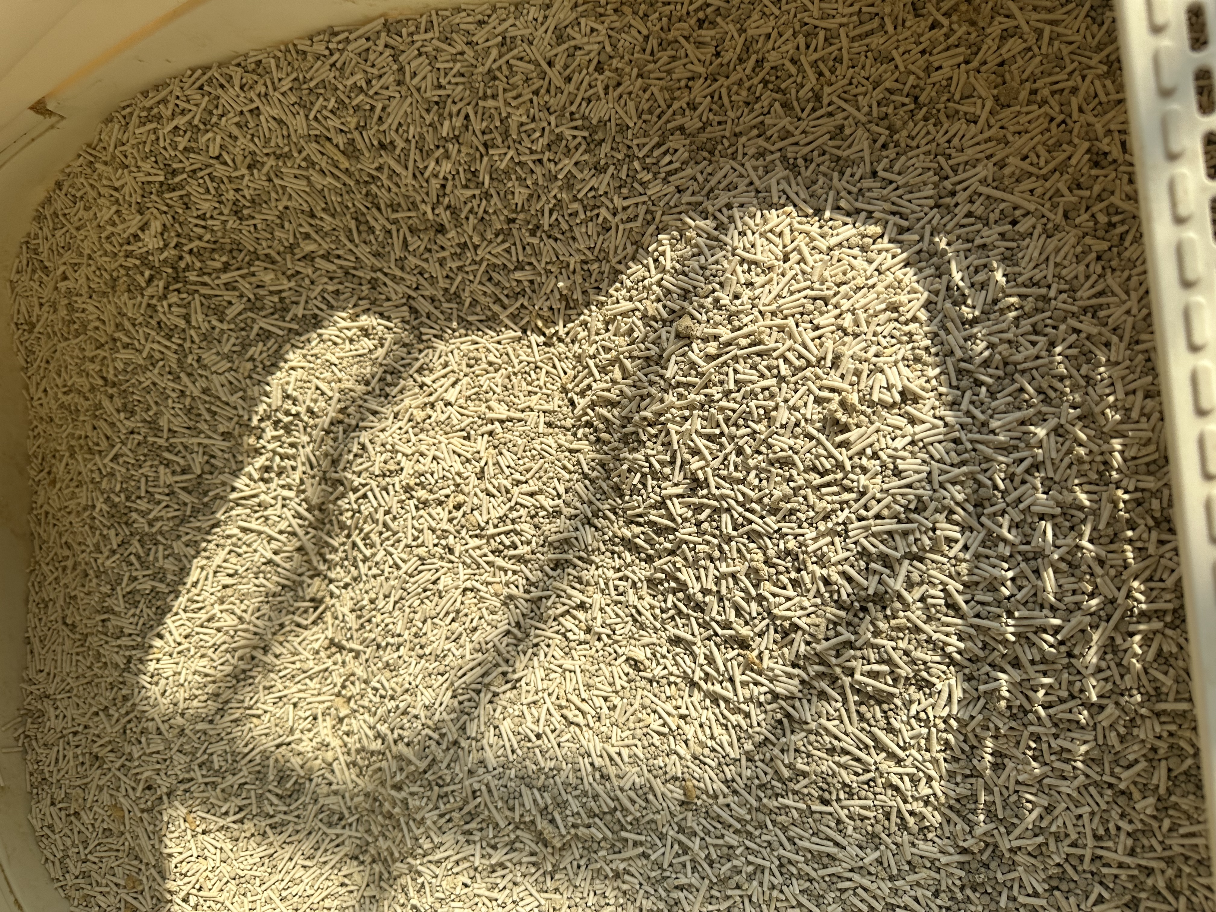 pidan混合豆腐猫砂 豆腐膨润土皮蛋猫砂除臭猫砂结团快 经典款2.4kg*4 实拍图