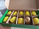 佳沛（zespri）新西兰金奇异果10个装单果重103-114g猕猴桃水果礼盒 实拍图
