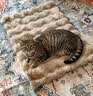 HELLOJOY猫窝垫子猫毯子冬季睡觉用宠物猫咪毛毯保暖狗窝冬日加厚兔绒睡垫 实拍图