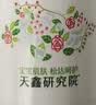 松达爽身露宝宝桃子水婴儿山茶油冰爽露爽身粉爽肤水200ml 实拍图