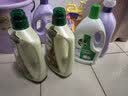 滴露（Dettol）衣物消毒液除菌松木3L 衣服消毒水99.9%杀菌除螨内衣裤 实拍图