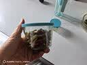 网红咸菜碗玻璃密封罐加厚酱菜盒冰箱保鲜罐小菜泡菜罐分装盒 两只随机装 2个 180ml 实拍图