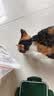 亿迪冻干鸡肉粒成猫幼猫狗宠物零食干营养主食纯肉超大桶1斤装 实拍图