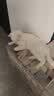 阿飞和巴弟【新品】E76益生菌猫粮养胃生骨肉冻干成幼猫粮10kg 实拍图