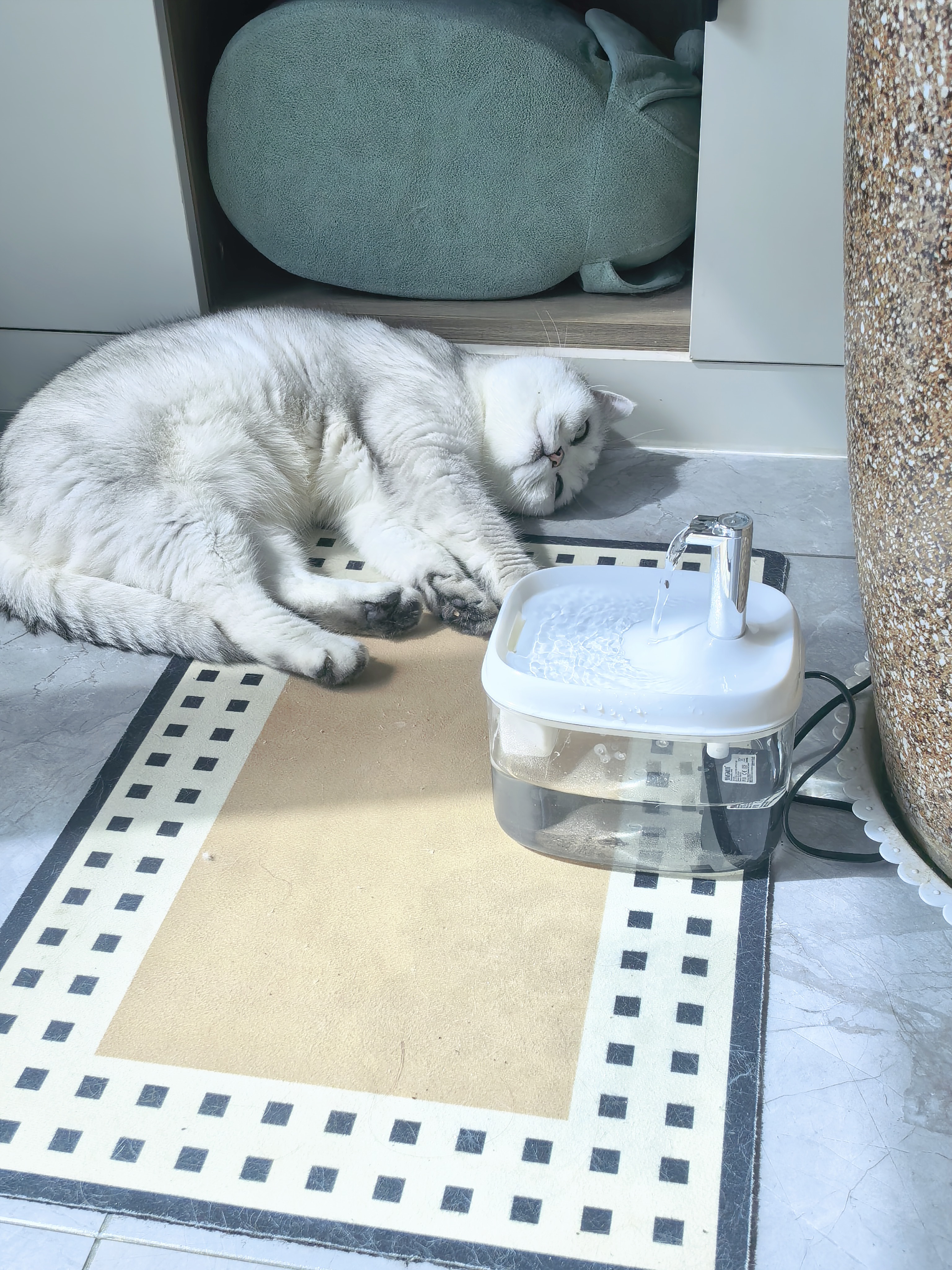 甜浪海猫咪饮水机自动循环喂水器猫喝水流动防干烧宠物饮水器自助喝水器 实拍图