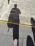 双星书包男背包双肩包女韩版初中高中大学生大容量防泼水笔记本电脑 黑色大号【挂件+徽章】 实拍图