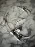 Apple/苹果 EarPods USB-C有线耳机 type-c有线耳机  iPhone 18有线耳机笔记本耳机游戏音乐 实拍图