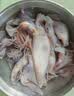 美加佳无保水剂笔管鱿鱼净重1斤 海兔子 墨斗鱼 烧烤食材聚餐 实拍图