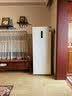 容声大冰象201L立式冰柜小型家用风冷无霜变频新一级能效-40℃冷藏冷冻小冰箱BD-201E30LNLAD国家补贴 实拍图