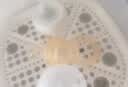 小白熊咬咬乐婴儿水果咬咬袋宝宝果蔬6-9月以上全硅胶辅食神器L码 实拍图