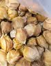 京觅东北姑娘果 净重4.5斤装 灯笼果黄菇娘洋菇茑 新鲜水果 源头直发 实拍图