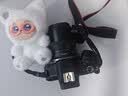 佳能（Canon）EOS R100 小型便捷微单数码相机 4K Vlog高清视频家用旅游美颜照相机 18-45mm套机 旅行畅玩套装 实拍图