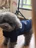 欢宠网宠物狗狗衣服猫咪猫小狗小猫泰迪比熊猫猫小型犬幼犬冬季保暖服饰 实拍图