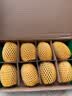 佳沛（zespri）新西兰金奇异果8粒特大果124-146g猕猴桃水果礼盒 实拍图