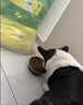 疯狂小狗中大型犬狗粮成幼犬40斤宠物边牧金毛拉布拉多鸡肉燕麦20kg囤货装 实拍图