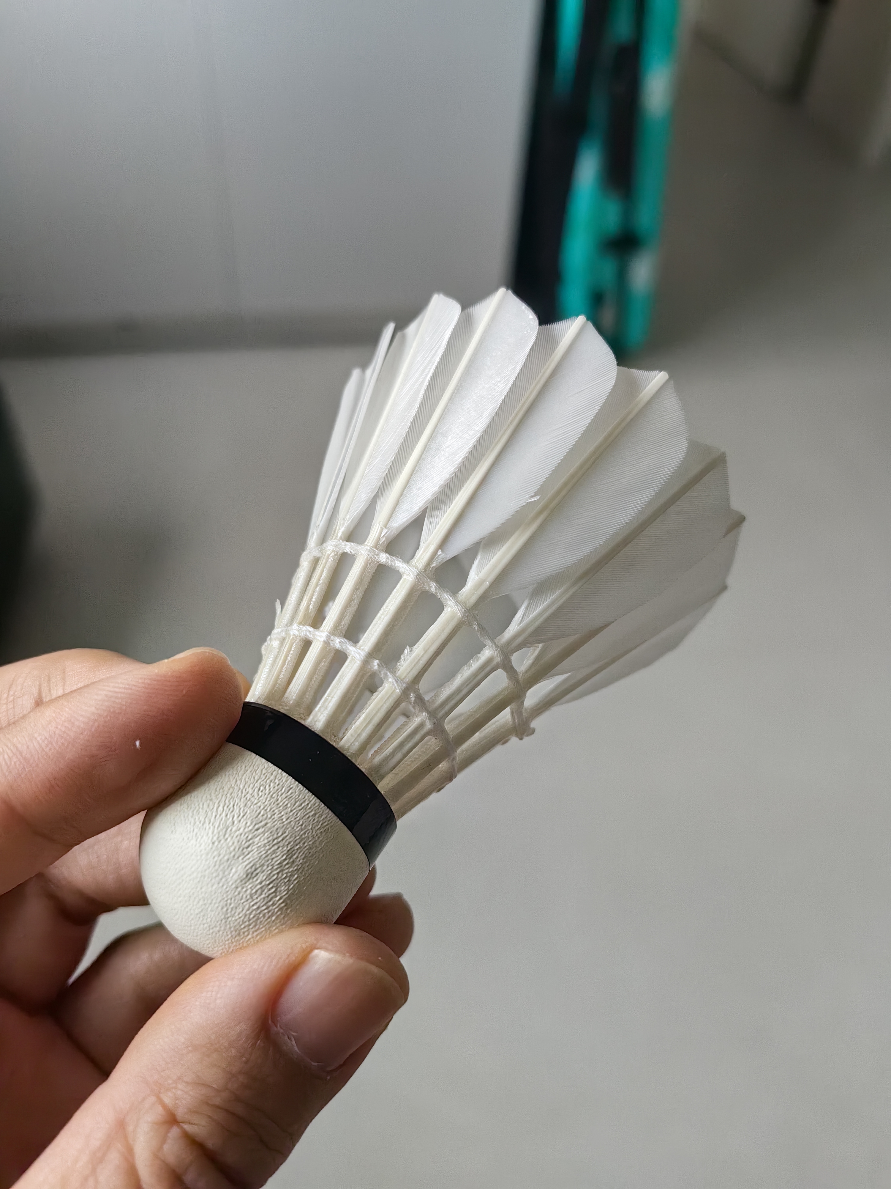李宁C/D系列羽毛球鸭毛76/77速飞行稳定训练球俱乐部用球专业比赛用球 D8-77速 1筒 稳定耐打用球 F 实拍图