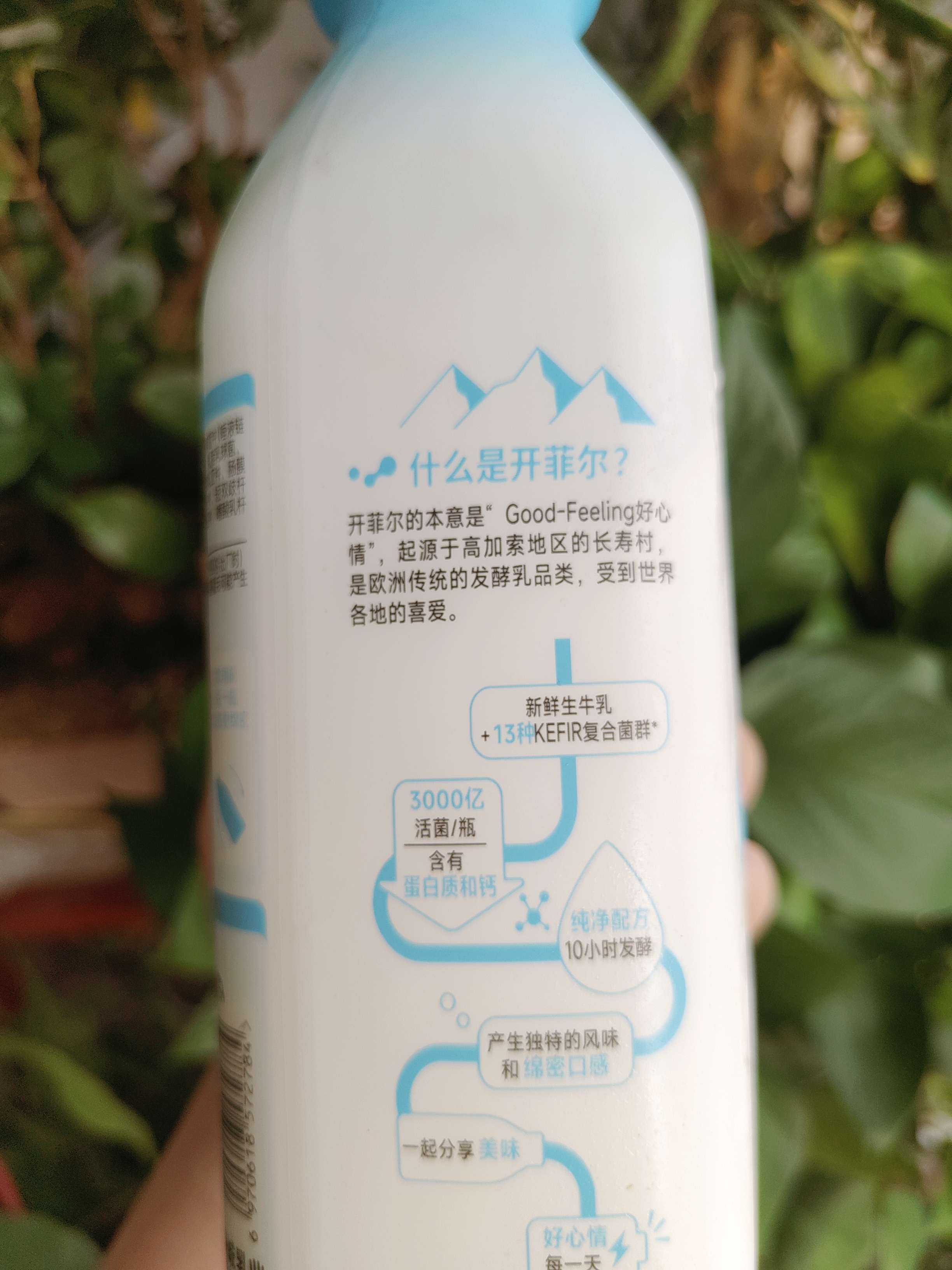 简爱开菲尔家庭装大桶酸奶 原味760g*1瓶 13种复合菌 乳酸菌早餐奶 实拍图