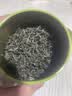 七春2026绿茶信阳毛尖新茶河南特产小罐装冷泡茶品鉴茶叶30g 实拍图