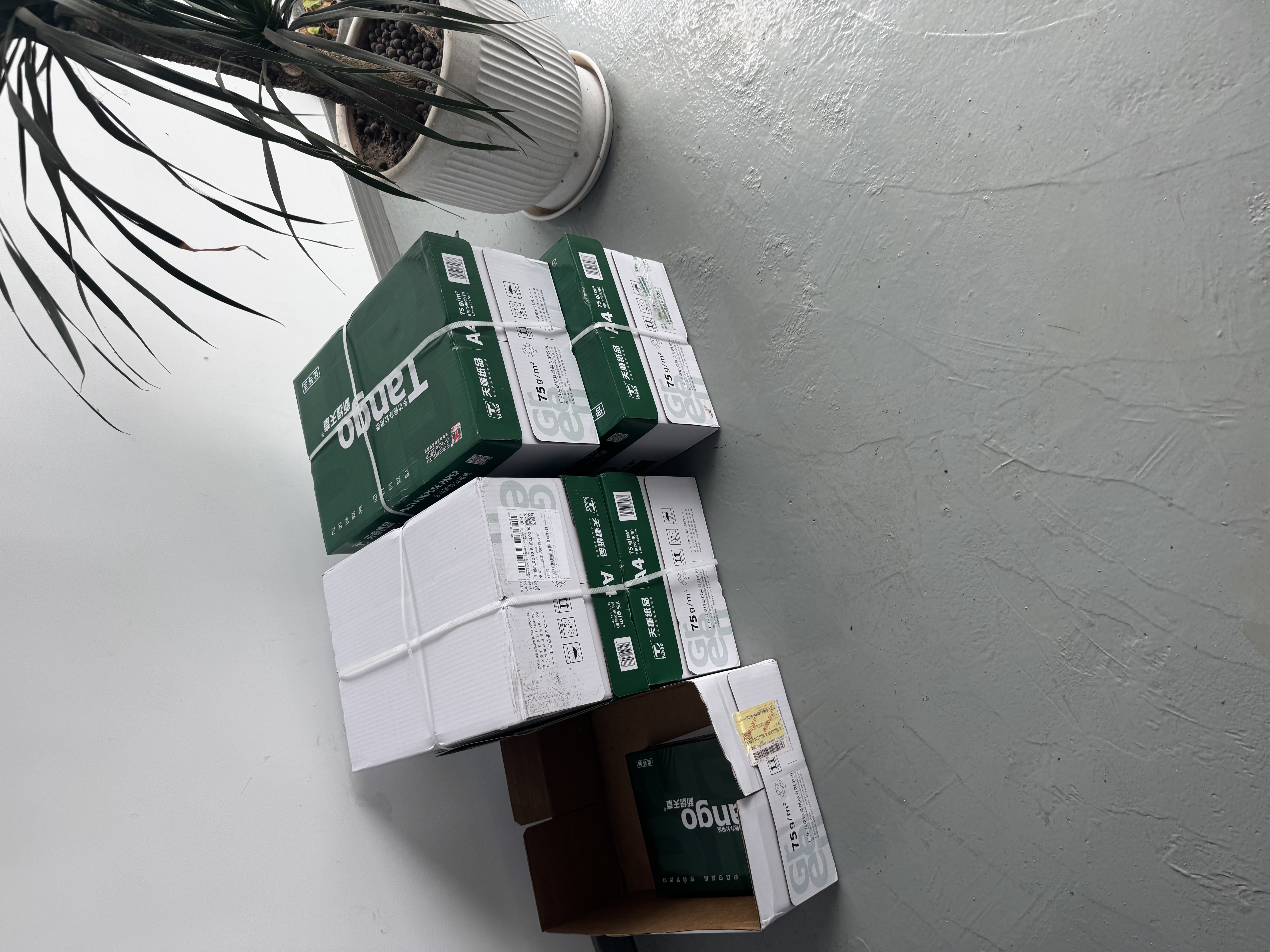 天章 （TANGO）A4打印纸75g500张*8包 新绿天章【豪华品质】白纸双面打印复印纸白纸A4草稿纸 整箱4000张 实拍图