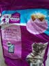 伟嘉成猫猫粮3.6kg海洋鱼味布偶夹心粮【原料透明】 实拍图