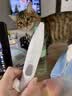 ERGOBABY宠物剃毛器猫咪剃脚毛电推剪剃狗毛神器电推子LED灯电动美容出游 实拍图