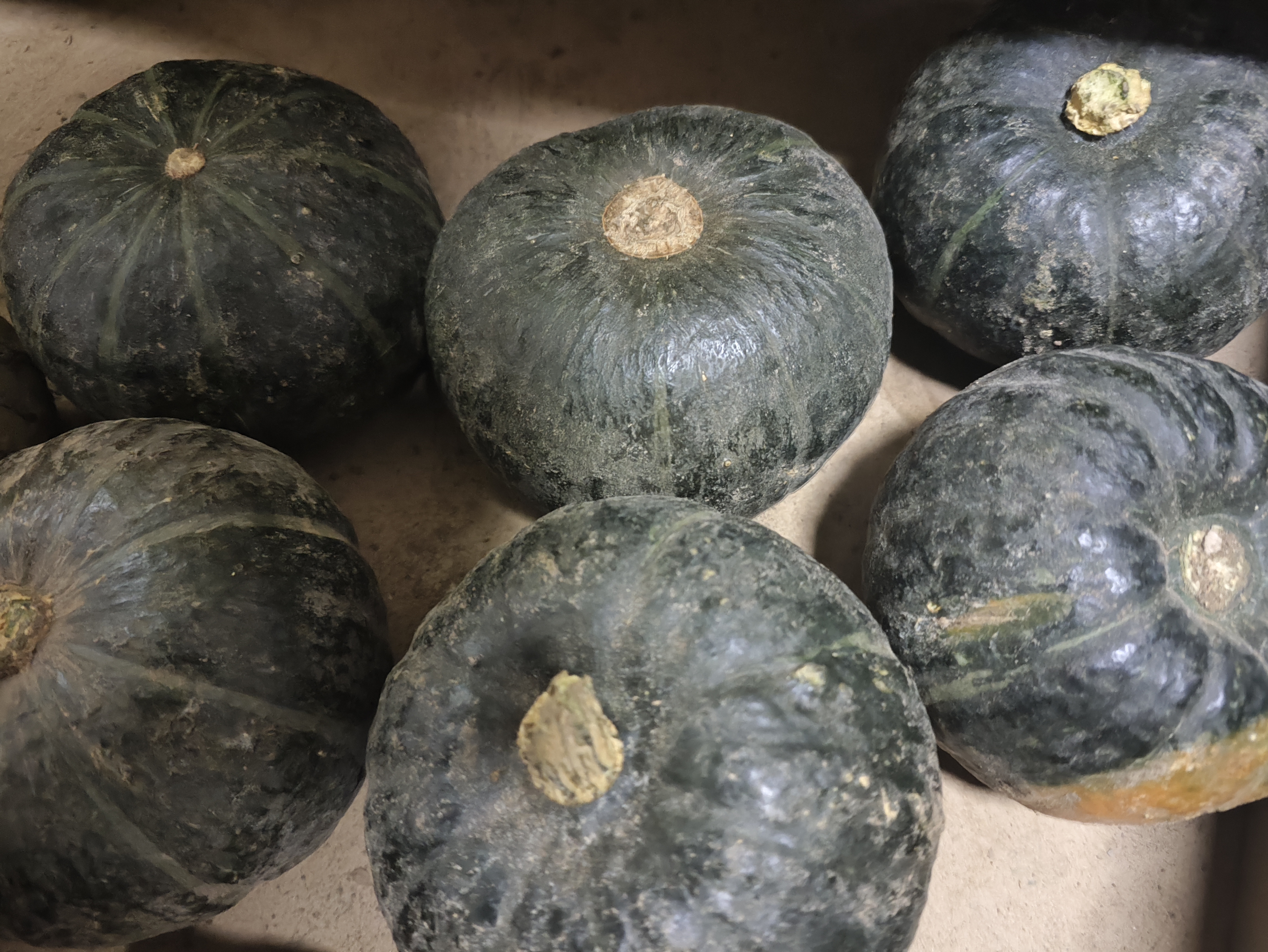 京觅山东贝贝南瓜 净重3斤精选装 单果250g+ 软糯香甜板栗香源头直发 实拍图