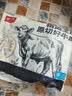鲜京采惠选 南美原切牛腱子不含腱子芯4斤 炖煮健身 实拍图