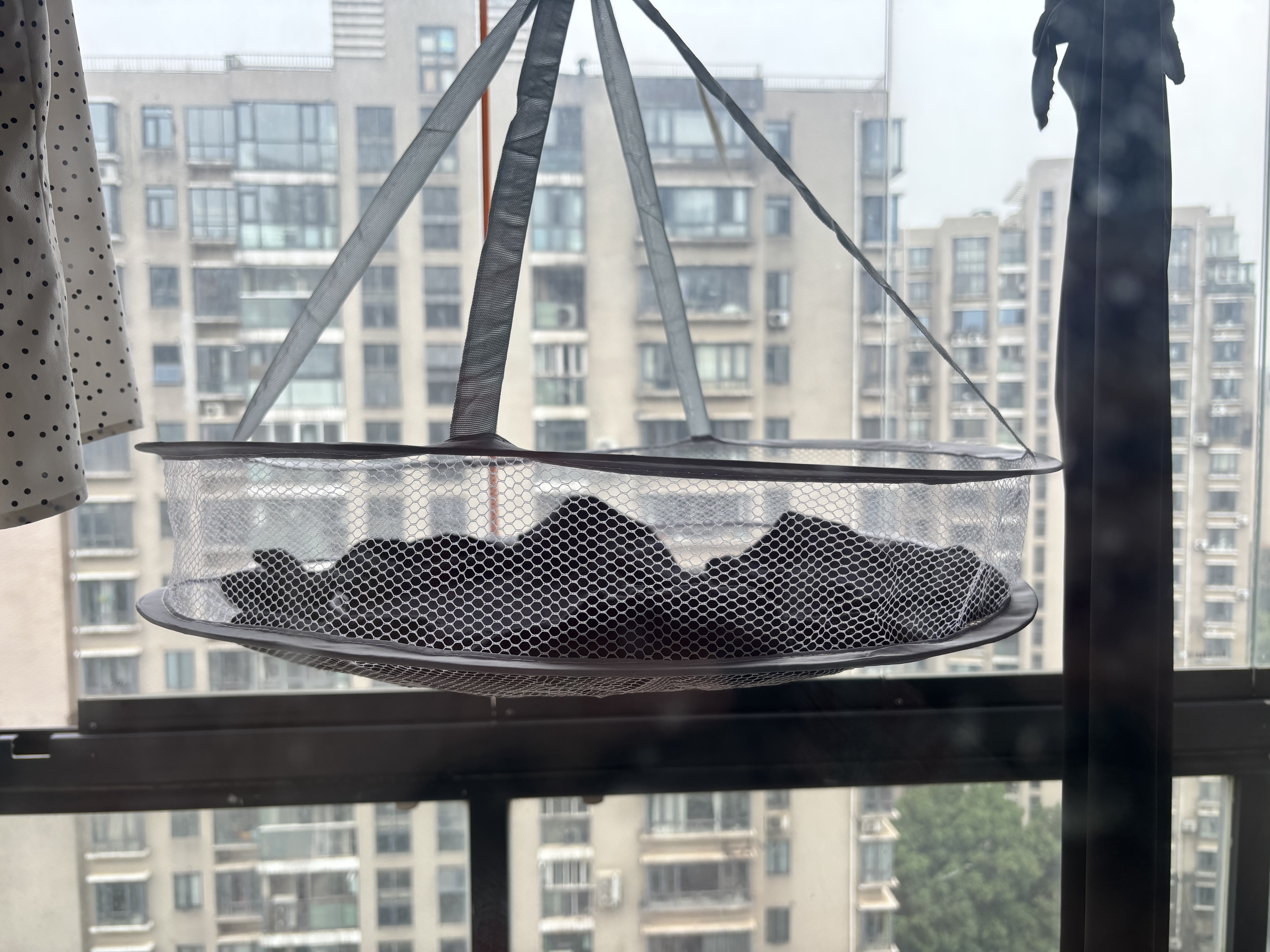 茨格曼 晾衣篮 晾袜子神器 可折叠 防风防滑 毛衣晾晒网 实拍图