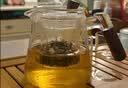 泥也茶壶泡茶壶玻璃茶壶泡茶家用茶壶茶水分离2026新款办公室泡茶器杯 实拍图