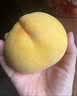 京觅脆桃水果桃子蒙阴新鲜冬桃 净4.5斤单果150g+ 源头直发 实拍图