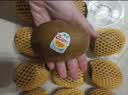 佳沛（zespri）新西兰金奇异果12粒特大果124-146g猕猴桃水果礼盒 实拍图