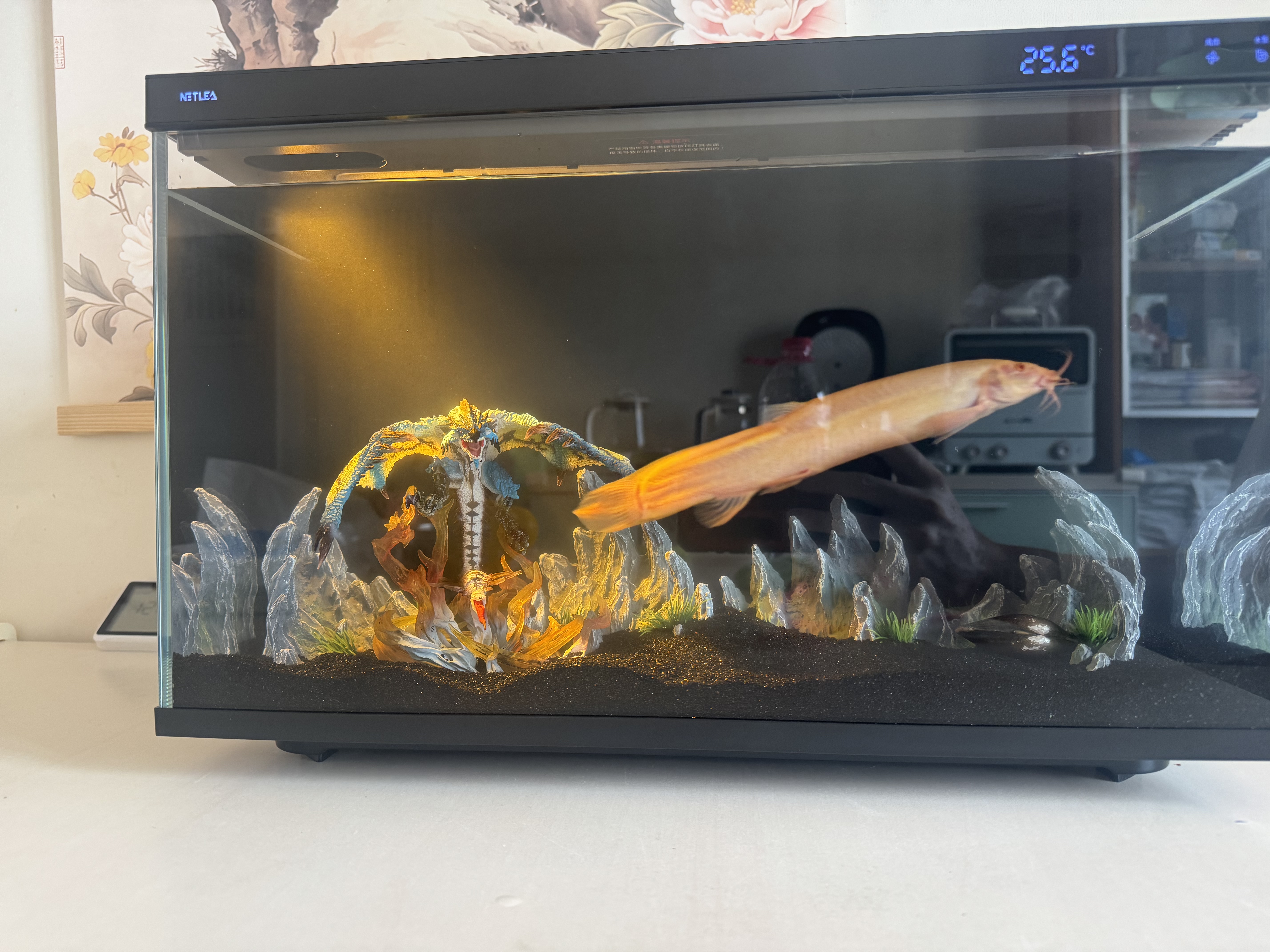 尼特利智能鱼缸自循环一体式新款自动喂食过滤鱼缸X-45 Ultra 实拍图