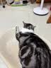 pidan猫砂 豆腐膨润土70%:30%混合1.9kg 实拍图