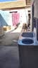 海尔（Haier）半自动双桶双缸波轮洗衣机 12KG大容量  强力去污洗大件 一级能效家电补贴以旧换新 XPB120-81D2 实拍图