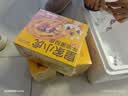 皇家小虎 牛油蛋挞皮90个/1800g 空气炸锅半成品食材生皮烘焙原料源头直发 实拍图