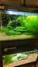 森森鱼缸增氧泵水族箱氧气泵LQE-200家用小型充氧泵4W双孔+全套配件 实拍图