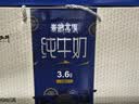 小西牛瓶装纯牛奶3.6g蛋白243ml*12瓶整箱礼盒装（5月底日期） 实拍图