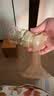 贝能双边吸奶器电动舒适按摩全自动母乳挤奶器三合一吸乳器静音 【升级PPSU版】 一机三用/安全放心[27口径] 实拍图